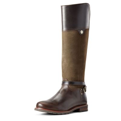 Ariat Carden Waterproof - Lange Laarzen Chocola / Olijfgroen Dames - 41822-477